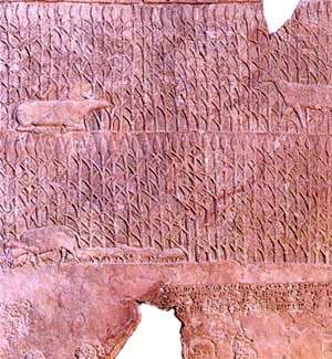 http://oloommagazine.com/images/Articles/16/SCI2000b16N12_H03_003554.jpg