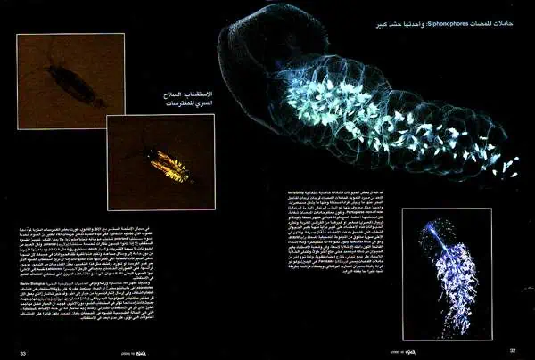 http://oloommagazine.com/images/Articles/16/SCI_index_2000b16N10_H04_00802.jpg