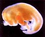 http://oloommagazine.com/images/Articles/16/SCI_index_2000b16N5-6_H00_001107.jpg