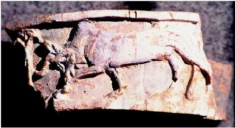 http://oloommagazine.com/images/Articles/17/SCI2001b17N1-2_H01_00343.jpg