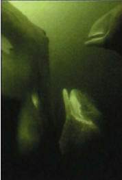 http://oloommagazine.com/images/Articles/17/SCI2001b17N6-7_H03_001769.jpg