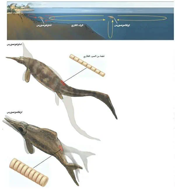http://oloommagazine.com/images/Articles/17/SCI2001b17N10_H02_001474.jpg
