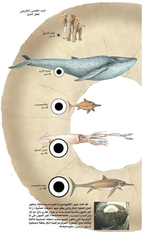 http://oloommagazine.com/images/Articles/17/SCI2001b17N10_H02_001475.jpg