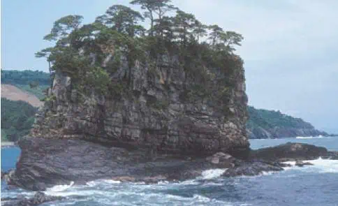http://oloommagazine.com/images/Articles/17/SCI2001b17N10_H02_001477.jpg