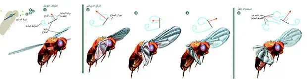 http://oloommagazine.com/images/Articles/17/SCI2001b17N10_H04_001491.jpg