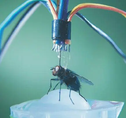 http://oloommagazine.com/images/Articles/17/SCI2001b17N10_H04_001493.jpg