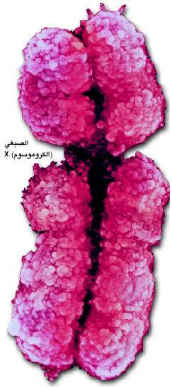 http://oloommagazine.com/images/Articles/17/SCI2001b17N10_H01_001462.jpg