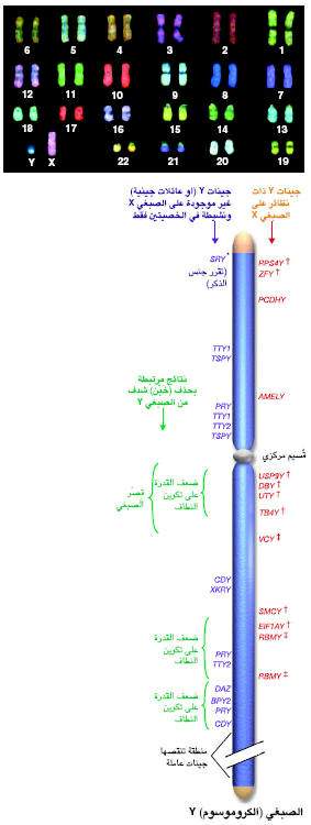 http://oloommagazine.com/images/Articles/17/SCI2001b17N10_H01_001463.jpg
