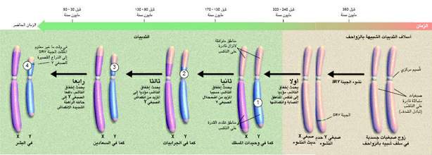 http://oloommagazine.com/images/Articles/17/SCI2001b17N10_H01_001464.jpg