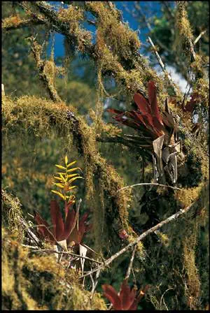 http://oloommagazine.com/images/Articles/17/SCI2001b17N8-9_H04_001894.jpg