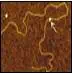 http://oloommagazine.com/images/Articles/17/SCI2001b17N6-7_H05_001788.jpg