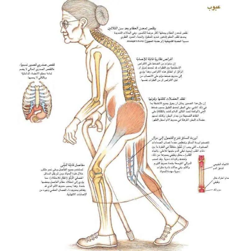 http://oloommagazine.com/images/Articles/17/SCI2001b17N6-7_H04_001772.jpg