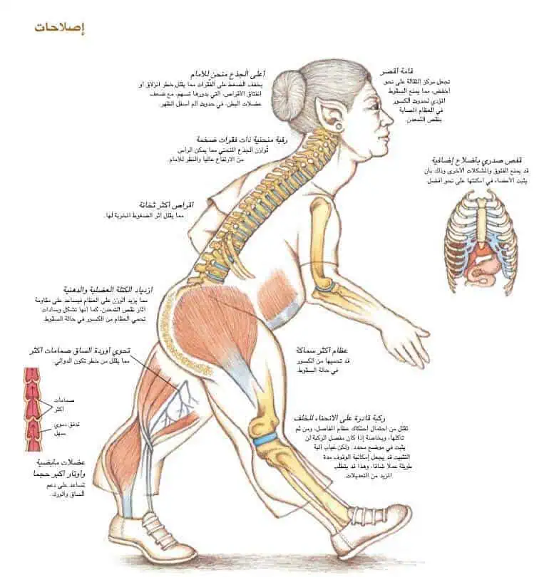 http://oloommagazine.com/images/Articles/17/SCI2001b17N6-7_H04_001773.jpg