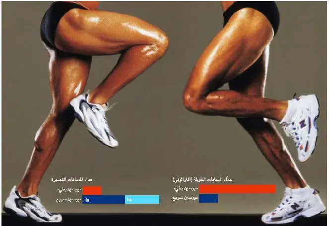 http://oloommagazine.com/images/Articles/17/SCI2001b17N3-4_H01_001653.jpg