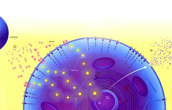 http://oloommagazine.com/images/Articles/17/SCI2001b17N1-2_H04_00365.jpg