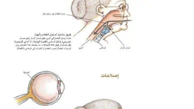 http://oloommagazine.com/images/Articles/17/SCI2001b17N6-7_H04_001774.jpg