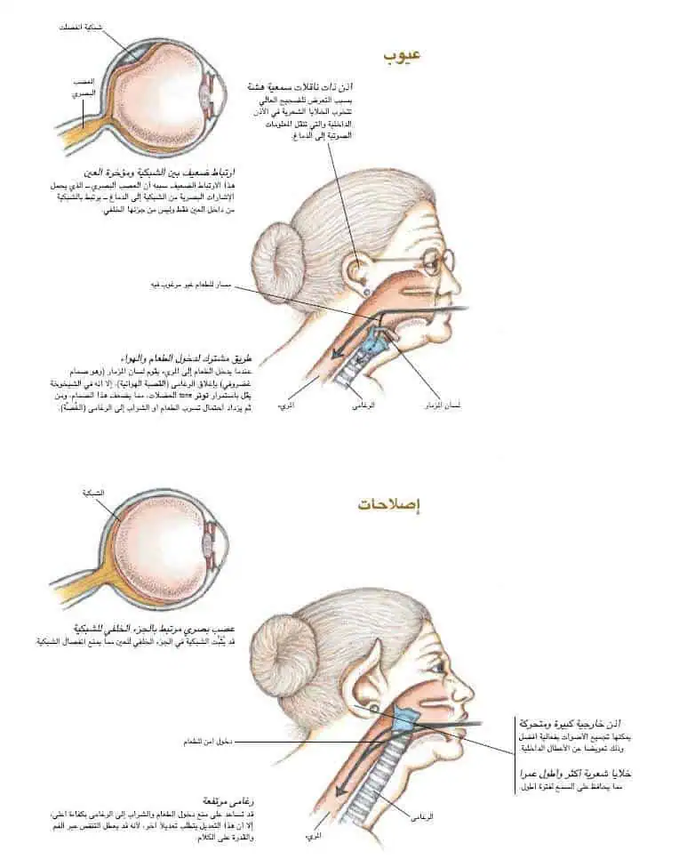 http://oloommagazine.com/images/Articles/17/SCI2001b17N3-4_H05_0026.gif