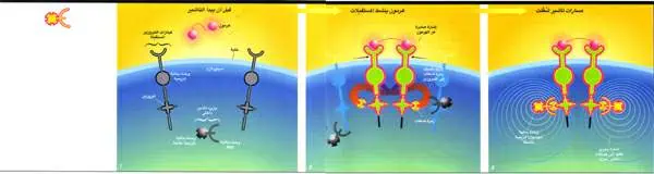 http://oloommagazine.com/images/Articles/17/SCI2001b17N1-2_H04_00366.jpg