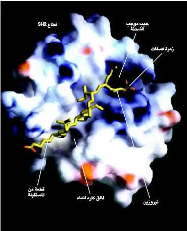 http://oloommagazine.com/images/Articles/17/SCI2001b17N1-2_H04_00367.jpg