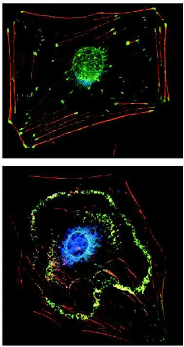 http://oloommagazine.com/images/Articles/17/SCI2001b17N1-2_H04_00373.jpg