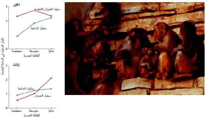 http://oloommagazine.com/images/Articles/17/SCI2001b17N1-2_H03_00361.jpg