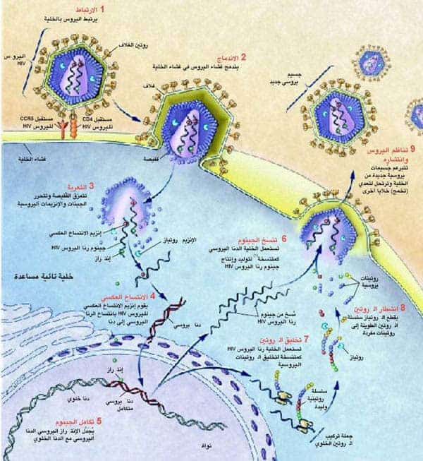 http://oloommagazine.com/images/Articles/18/SCI2002b18N5-6_H05_002353.jpg