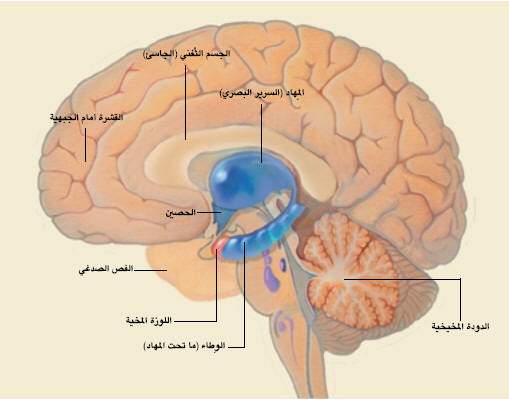 http://oloommagazine.com/images/Articles/18/SCI2002b18N11-12_H03_001984.jpg