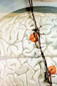 http://oloommagazine.com/images/Articles/18/SCI2002b18N11-12_H03_001986.jpg
