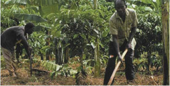 http://oloommagazine.com/images/Articles/18/SCI2002b18N11-12_H01_001974.jpg