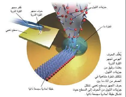 http://oloommagazine.com/images/Articles/18/SCI2002b18N9-10_H04_002536.jpg