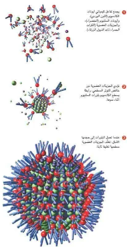 http://oloommagazine.com/images/Articles/18/SCI2002b18N9-10_H04_002537.jpg