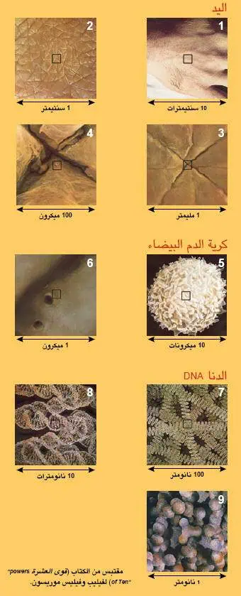 http://oloommagazine.com/images/Articles/18/SCI2002b18N9-10_H03_002530.jpg