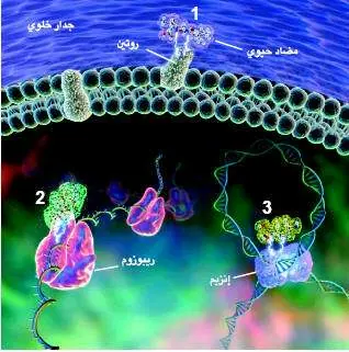 http://oloommagazine.com/images/Articles/18/SCI2002b18N4_H05_002274.jpg