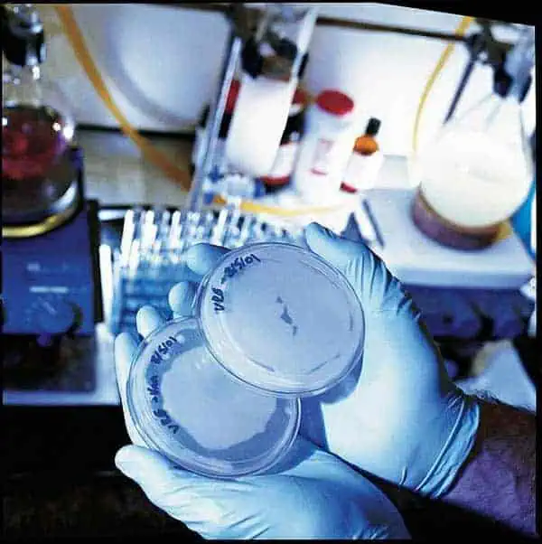 http://oloommagazine.com/images/Articles/18/SCI2002b18N4_H05_002275.jpg
