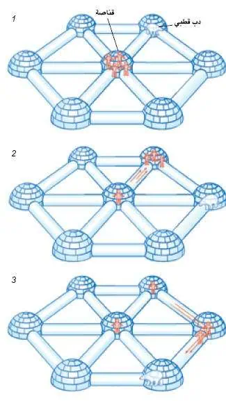 http://oloommagazine.com/images/Articles/18/SCI2002b18N5-6_H04_002350.jpg