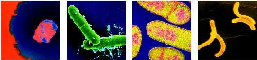 http://oloommagazine.com/images/Articles/18/SCI2002b18N4_H02_002249.jpg