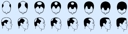 http://oloommagazine.com/images/Articles/18/SCI2002b18N5-6_H05_002354.jpg