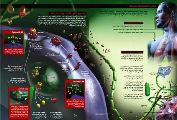 http://oloommagazine.com/images/Articles/18/SCI2002b18N7-8_H01_002438.jpg