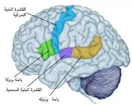 http://oloommagazine.com/images/Articles/18/SCI2002b18N5-6_H03_002344.jpg