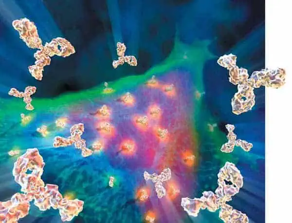 http://oloommagazine.com/images/Articles/18/SCI2002b18N7-8_H02_002440.jpg
