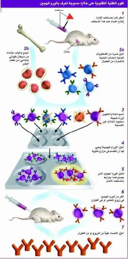 http://oloommagazine.com/images/Articles/18/SCI2002b18N7-8_H02_002441.jpg