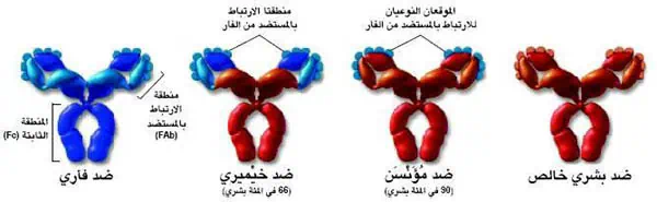 http://oloommagazine.com/images/Articles/18/SCI2002b18N7-8_H02_002442.jpg