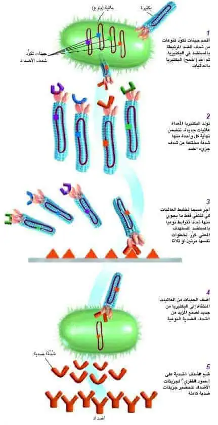 http://oloommagazine.com/images/Articles/18/SCI2002b18N7-8_H02_002443.jpg