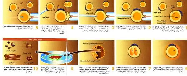 http://oloommagazine.com/images/Articles/18/SCI2002b18N2-3_H02_002157.jpg