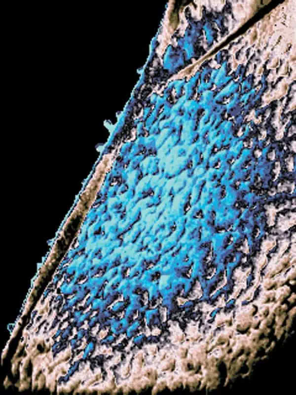 http://oloommagazine.com/images/Articles/18/SCI2002b18N2-3_H03_002161.jpg