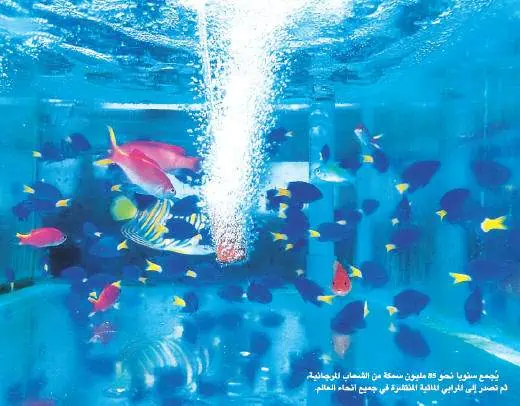 http://oloommagazine.com/images/Articles/18/SCI2002b18N1_H05_002084.jpg