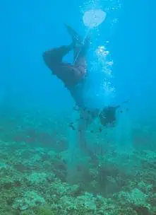 http://oloommagazine.com/images/Articles/18/SCI2002b18N1_H05_002087.jpg
