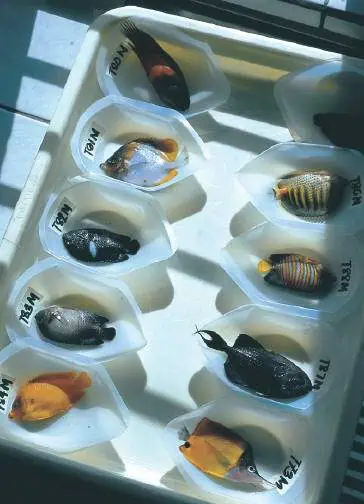 http://oloommagazine.com/images/Articles/18/SCI2002b18N1_H05_002089.jpg