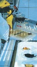 http://oloommagazine.com/images/Articles/18/SCI2002b18N1_H05_002090.jpg