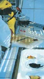 http://oloommagazine.com/images/Articles/18/SCI2002b18N1_H05_002090.jpg